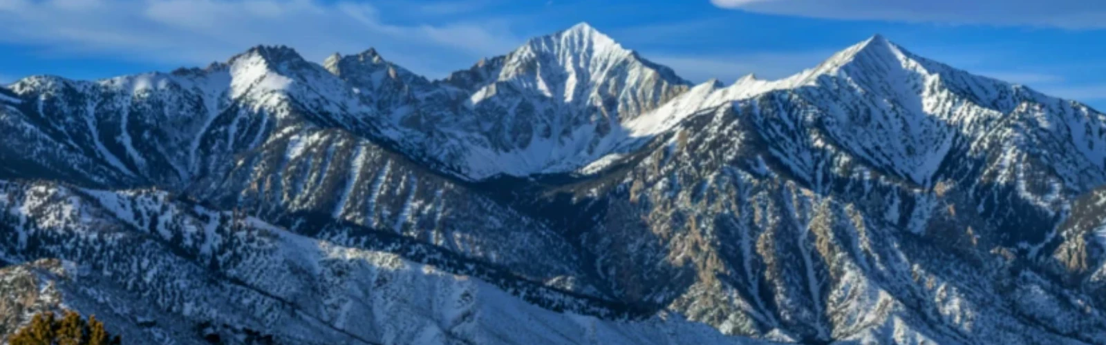 Explore Bishop, California: Top Things to Do, Best Places to Eat & Travel Guide
