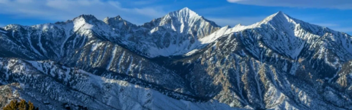 Explore Bishop, California: Top Things to Do, Best Places to Eat & Travel Guide