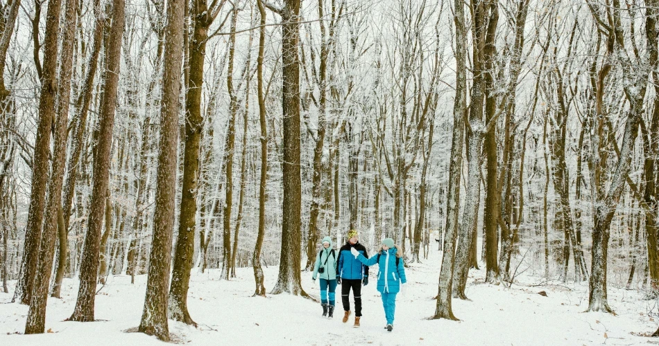 Bishop, California Winter Guide: Snow Adventures & Cozy Getaways