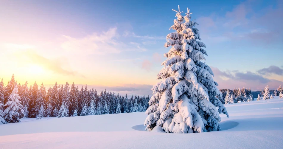 Bishop, California Winter Guide: Snow Adventures & Cozy Getaways