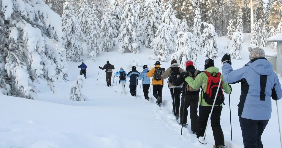 Bishop, California Winter Guide: Snow Adventures & Cozy Getaways