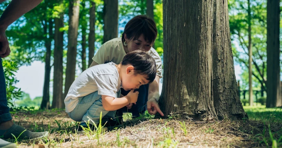 Bishop, United States: Ultimate Family Travel Guide for Fun and Relaxation