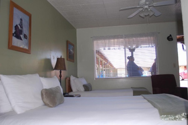 Trees Motel image 20