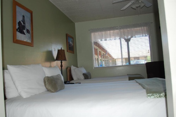 Trees Motel image 21