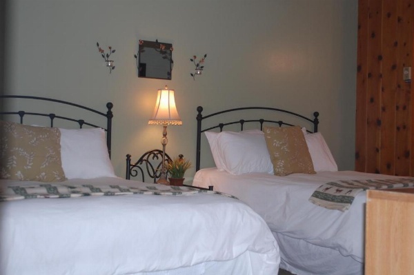 Trees Motel image 24