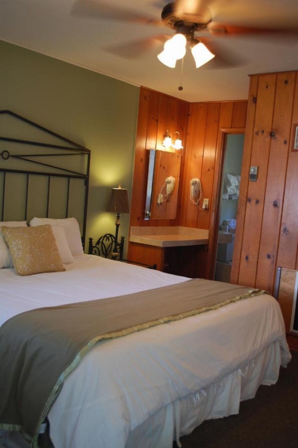 Trees Motel image 31