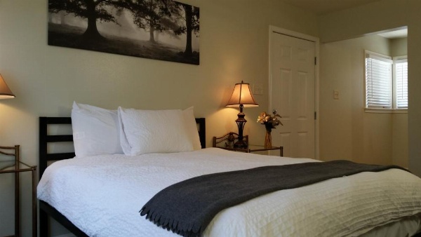 Trees Motel image 47