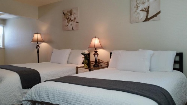 Trees Motel image 51